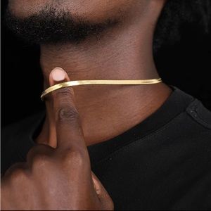 Stainless Steel Flat Bone Snake Necklace